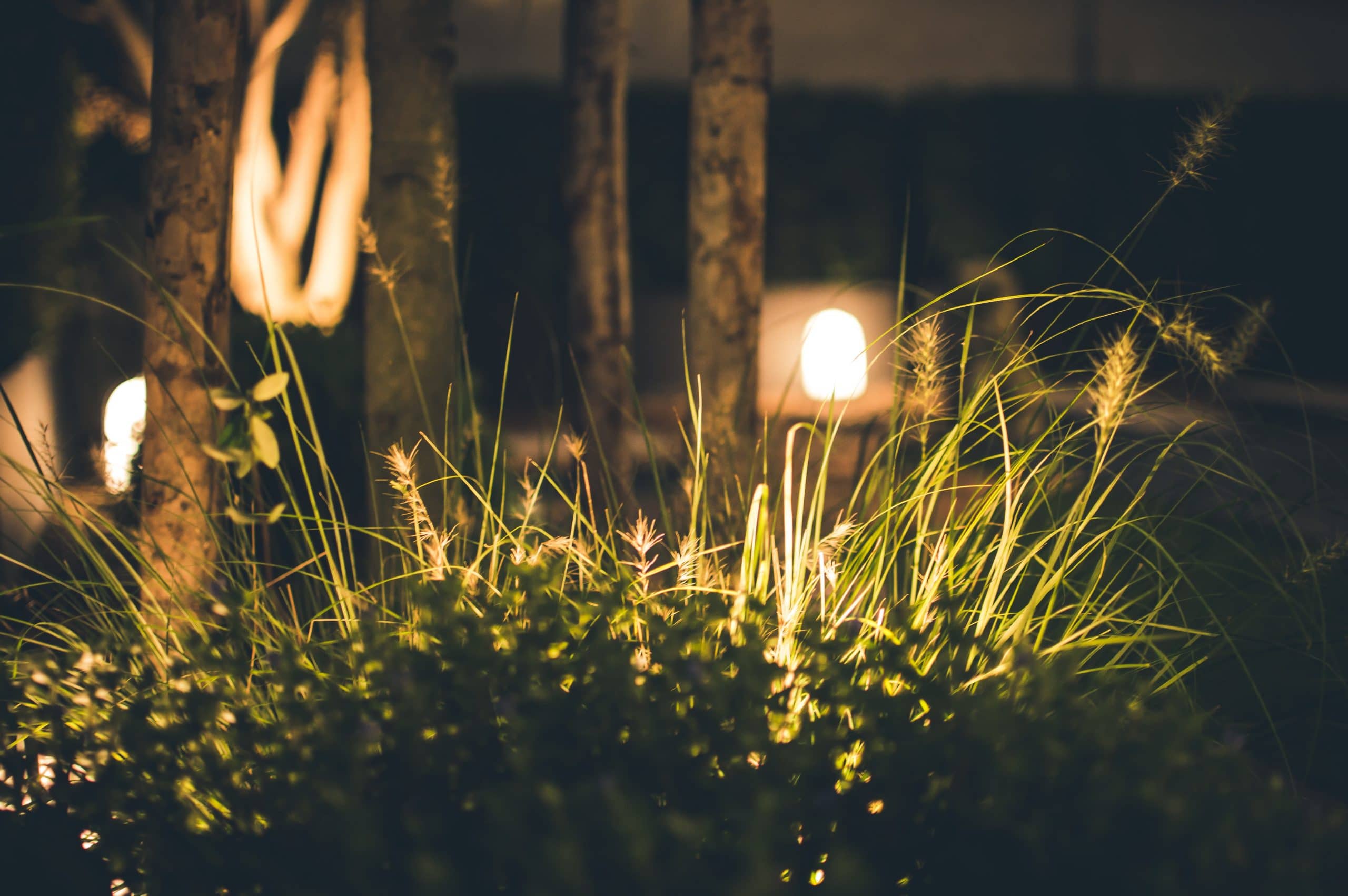 Jardin éclairé avec des luminaires extérieurs