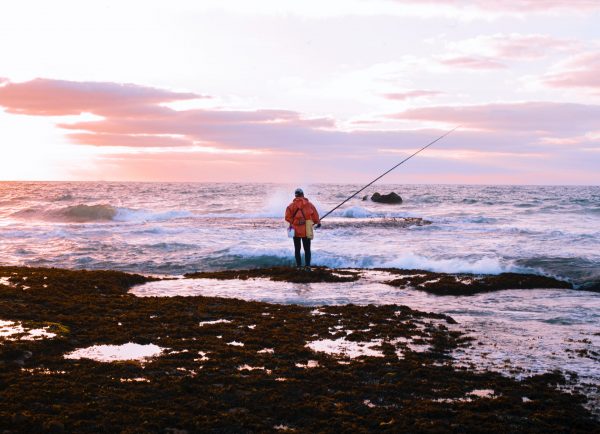 Que pêcher en Bretagne ?